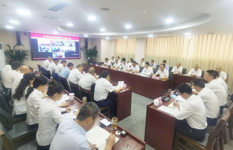 公司召開機(jī)構(gòu)調(diào)整暨干部（視頻）大會(huì)