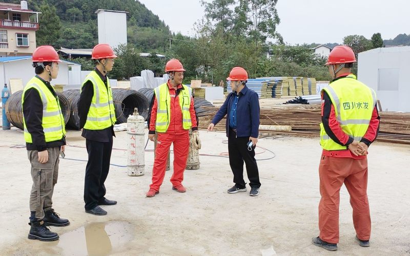 茍仕聰一行到亭子口項目I標調(diào)研工作
