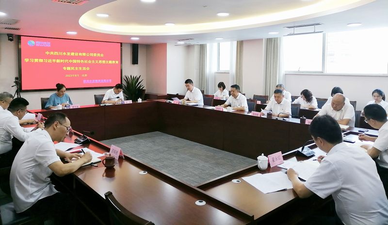 公司召開(kāi)主題教育專題民主生活會(huì)
